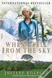 When I Fell From The Sky