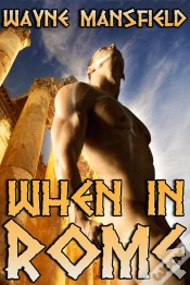 Capa do artigo When In Rome