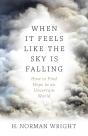 When It Feels Like The Sky Is Falling - Preview