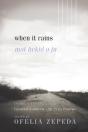 When It Rains - Preview