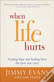 Capa do artigo When Life Hurts