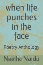 When Life Punches In The Face - Preview