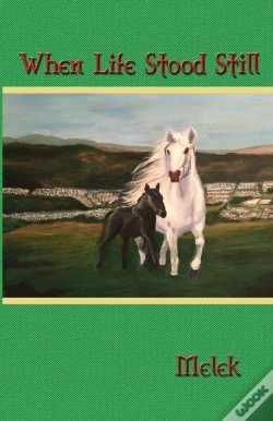 Capa do artigo When Life Stood Still