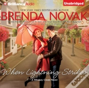 Capa do artigo When Lightning Strikes