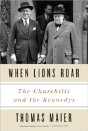 When Lions Roar - Preview