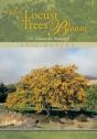 When Locust Trees Bloom (The Salmon Are Running!) - Preview
