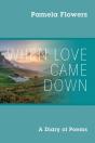 When Love Came Down - Preview