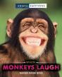 When Monkeys Laugh - Preview