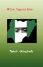 When Nigeria Slept - Preview