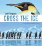 When Penguins Cross The Ice - Preview
