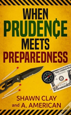 Capa do artigo When Prudence Meets Preparedness