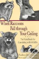 When Raccoons Fall Through Your Ceiling
