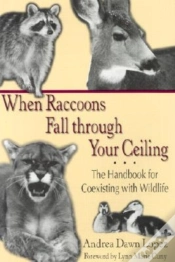 Capa do artigo When Raccoons Fall Through Your Ceiling