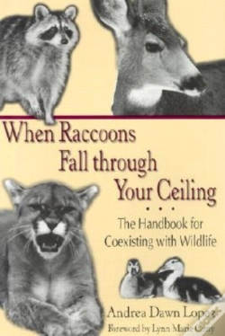 Capa do artigo When Raccoons Fall Through Your Ceiling