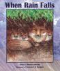 When Rain Falls - Preview