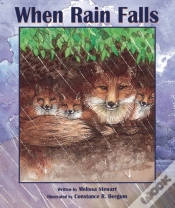 Capa do artigo When Rain Falls