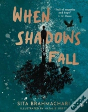 Capa do artigo When Shadows Fall