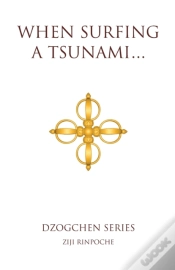 Capa do artigo When Surfing A Tsunami . . .