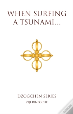 Capa do artigo When Surfing A Tsunami . . .