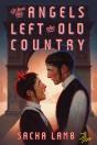 When The Angels Left The Old Country - Preview