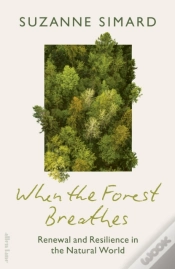 Capa do artigo When The Forest Breathes