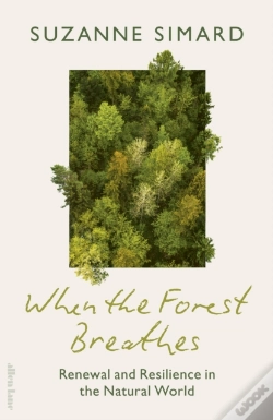 Capa do artigo When The Forest Breathes