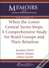 When The Lower Central Series Stops: A Comprehensive Study For Braid Groups And Their Relatives
