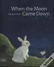 Capa do artigo When The Moon Came Down
