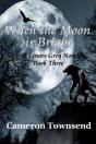 When The Moon Is Bright - Preview