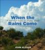When The Rains Come - Preview