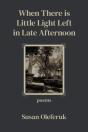 When There Is Little Light Left In Late Afternoon - Preview