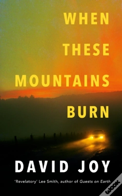 Capa do artigo When These Mountains Burn