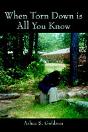 When Torn Down Is All You Know - Preview