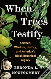 Capa do artigo When Trees Testify