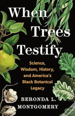 Capa do artigo When Trees Testify
