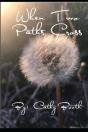When Two Paths Cross - Preview