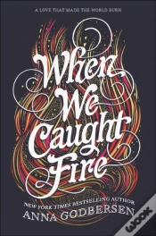Capa do artigo When We Caught Fire