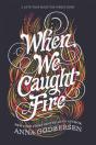 When We Caught Fire - Preview
