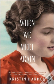 Capa do artigo When We Meet Again