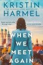 When We Meet Again - Preview