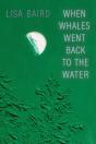 When Whales Went Back To The Water - Preview