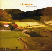 Capa do artigo When You Come Home - CD
