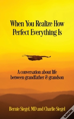 Capa do artigo When You Realize How Perfect Everything