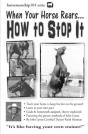 When Your Horse Rears - Preview