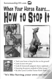 Capa do artigo When Your Horse Rears