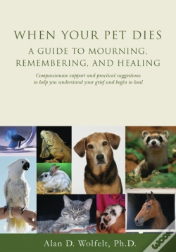 Capa do artigo When Your Pet Dies