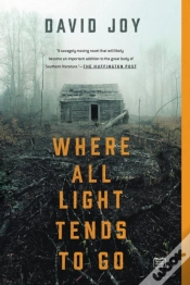 Capa do artigo Where All Light Tends To Go