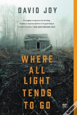 Capa do artigo Where All Light Tends To Go