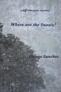 Where Are The Snows? - Preview