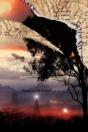 Where Are We Going? (Paperback) - Preview